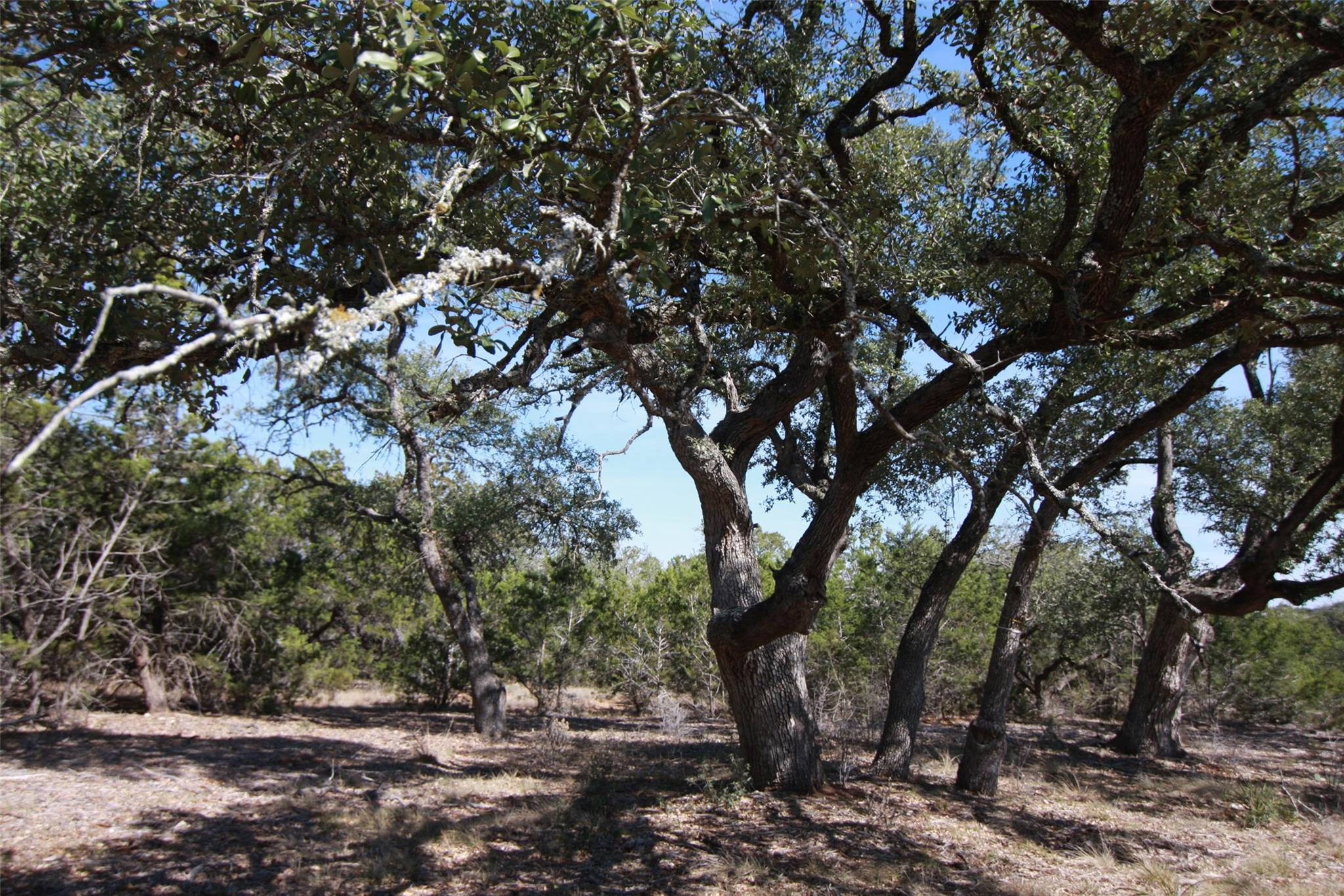 150 Patricks Way Dripping Springs TX 78620