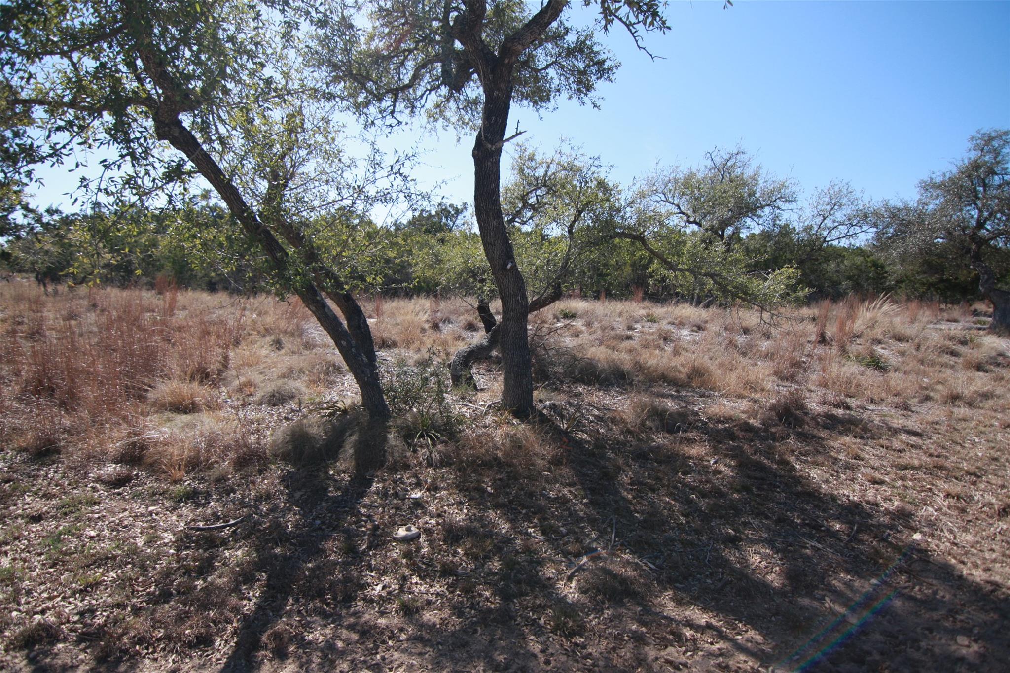 150 Patricks Way Dripping Springs TX 78620