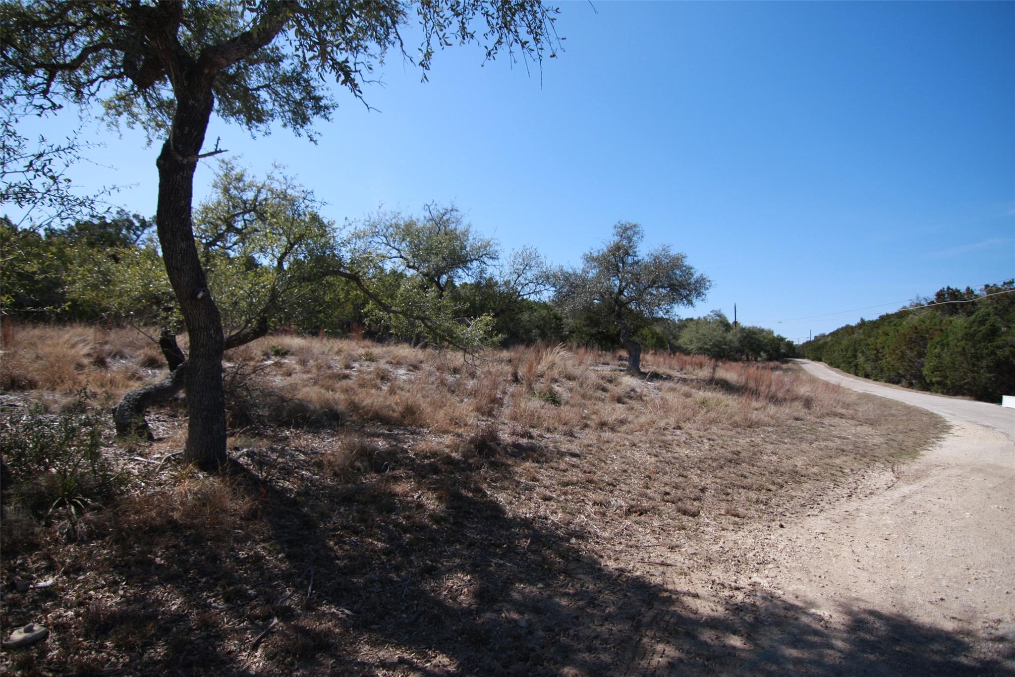 150 Patricks Way Dripping Springs TX 78620