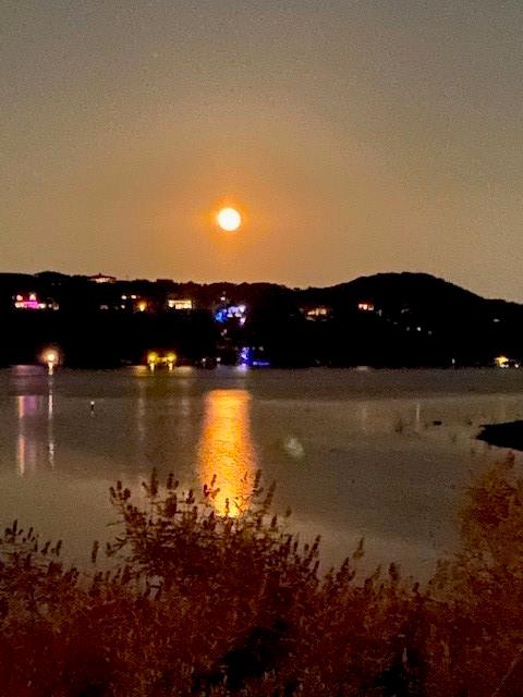 17803 Moon Rise Cove Jonestown TX 78645