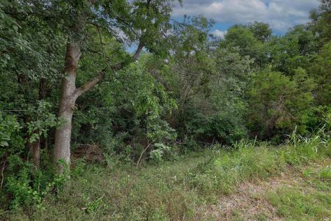 1620 San Gabriel Ranch Road Liberty Hill TX 78642