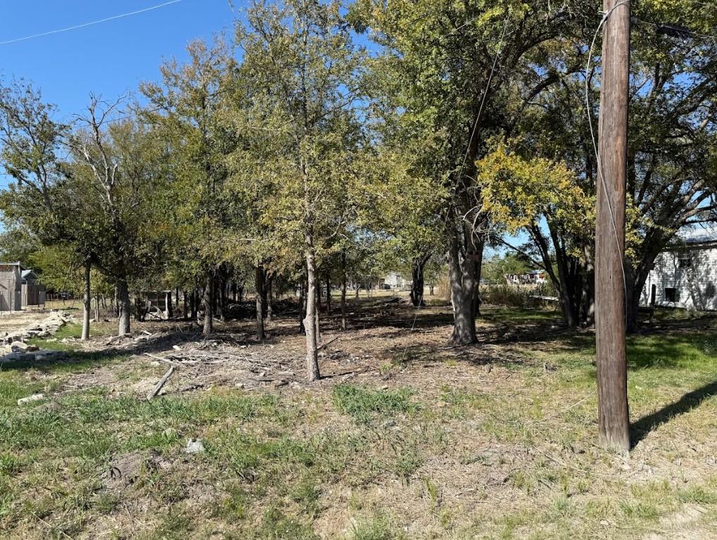 699 S Cotrell Street Bartlett TX 76511