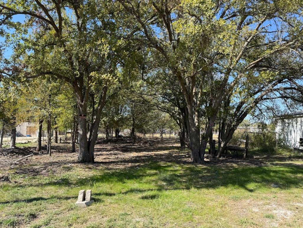 699 S Cotrell Street Bartlett TX 76511