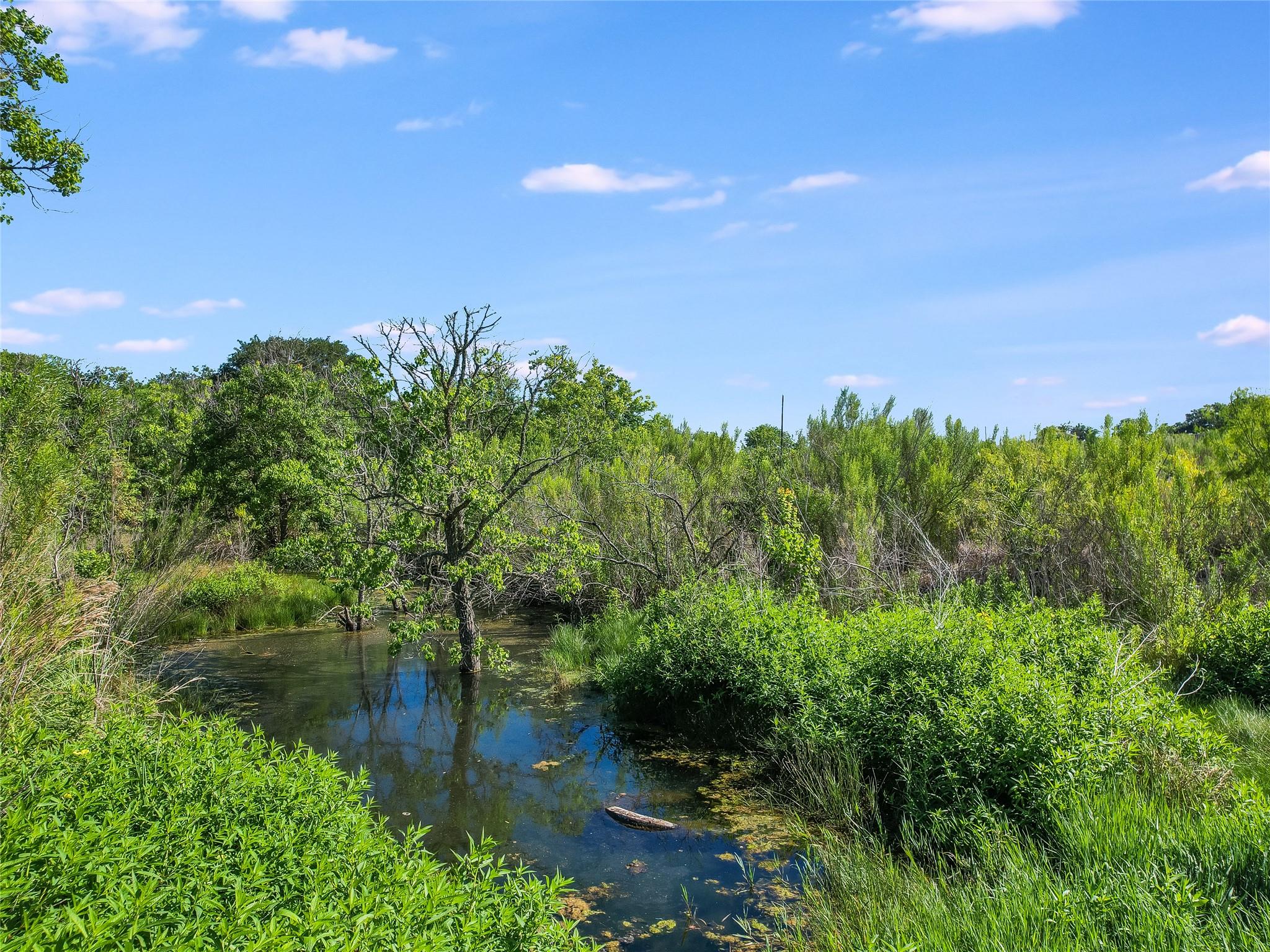 550 Schubert Lane Kyle TX 78640