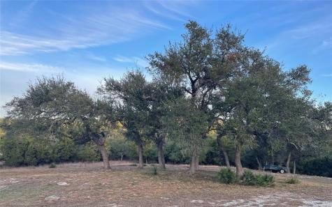 820 Sundown Trail Fischer TX 78623