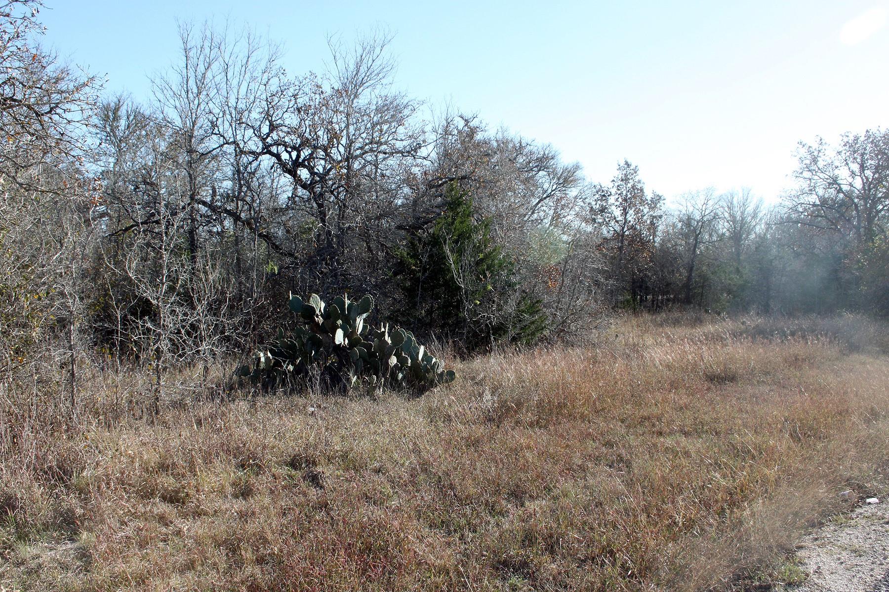 100 Track Road Highway Dale TX 78616
