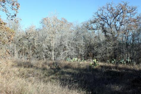 100 Track Road Highway Dale TX 78616