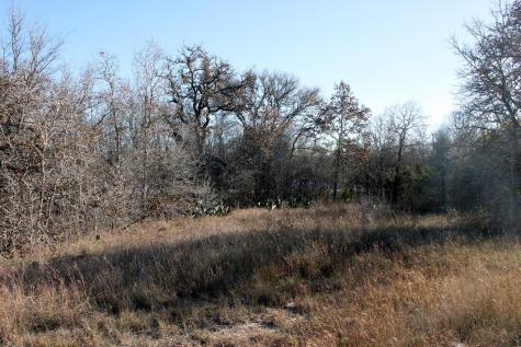 100 Track Road Highway Dale TX 78616