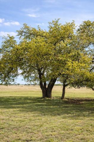 Lot 42 Reeh Road Fredericksburg TX 78631