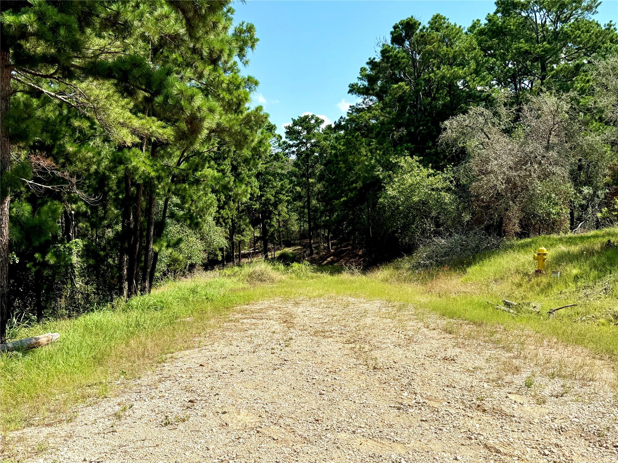 112, 114, 118 Kaimuki Court Bastrop TX 78602