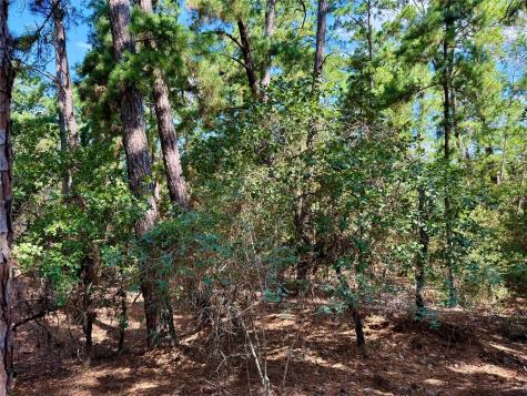 112, 114, 118 Kaimuki Court Bastrop TX 78602