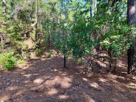 112, 114, 118 Kaimuki Court Bastrop TX 78602