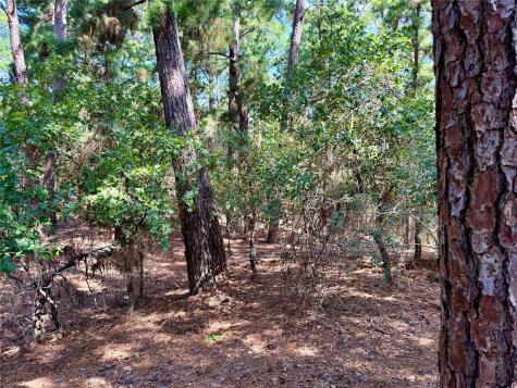 112, 114, 118 Kaimuki Court Bastrop TX 78602