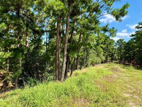 112, 114, 118 Kaimuki Court Bastrop TX 78602