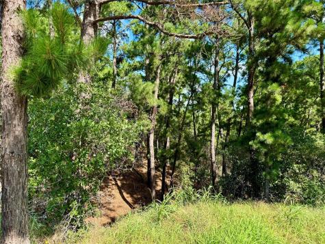 112, 114, 118 Kaimuki Court Bastrop TX 78602