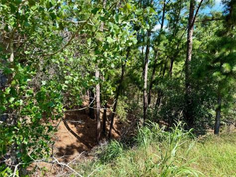 112, 114, 118 Kaimuki Court Bastrop TX 78602