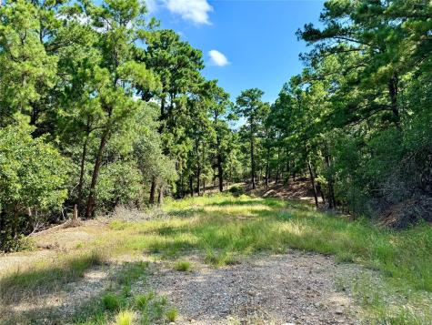 112, 114, 118 Kaimuki Court Bastrop TX 78602