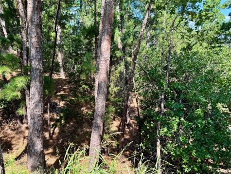 112, 114, 118 Kaimuki Court Bastrop TX 78602