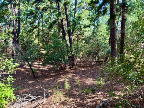 112, 114, 118 Kaimuki Court Bastrop TX 78602