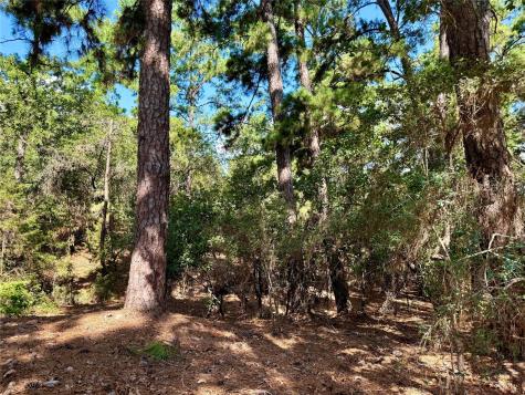 112, 114, 118 Kaimuki Court Bastrop TX 78602