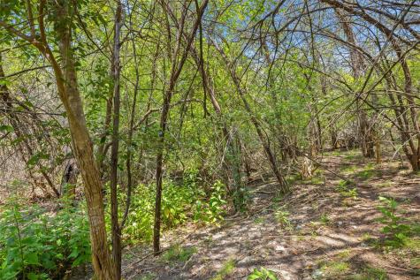 1810 Miami Drive Austin TX 78733