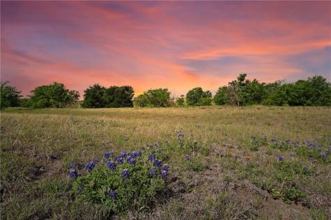 20512 Cameron Road Coupland TX 78615