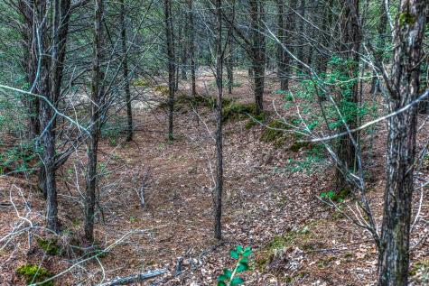 242 Cody Lane Bastrop TX 78602