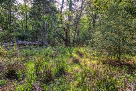 242 Cody Lane Bastrop TX 78602