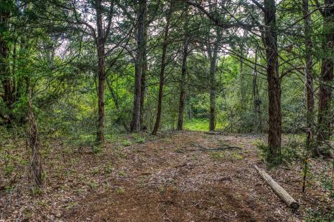242 Cody Lane Bastrop TX 78602
