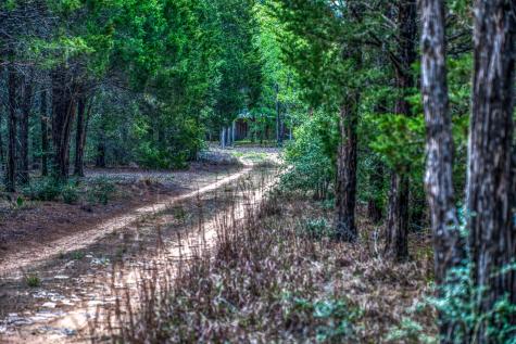 242 Cody Lane Bastrop TX 78602
