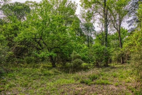 242 Cody Lane Bastrop TX 78602