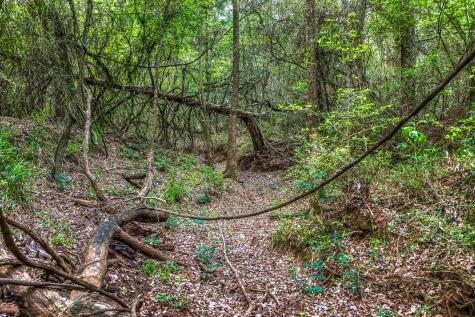 242 Cody Lane Bastrop TX 78602