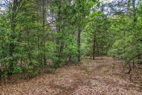 242 Cody Lane Bastrop TX 78602
