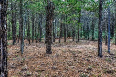 242 Cody Lane Bastrop TX 78602