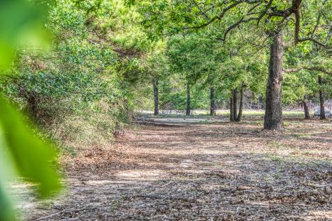 242 Cody Lane Bastrop TX 78602