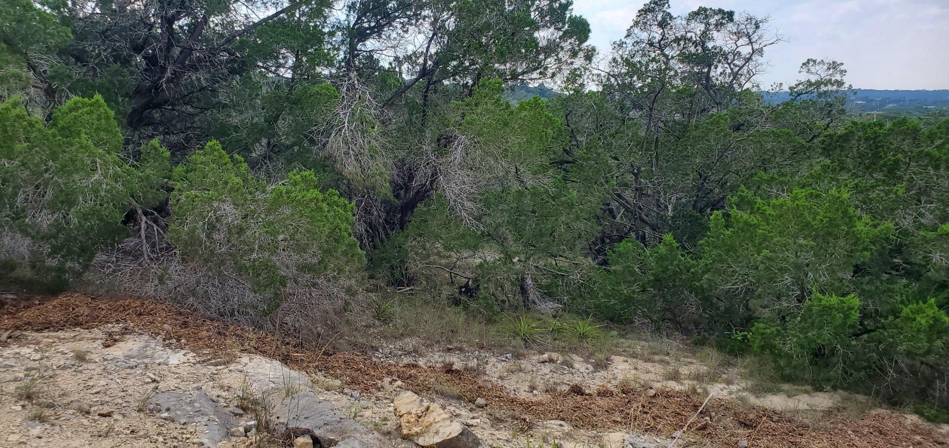 2303 Pace Bend Road S Spicewood TX 78669