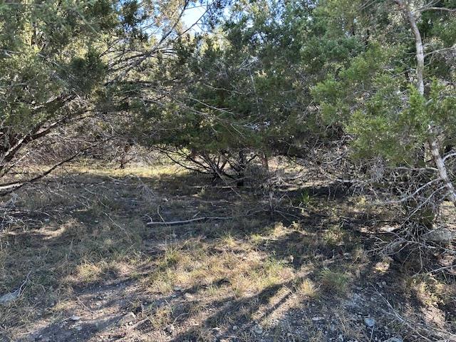 20607 High Drive Lago Vista TX 78645
