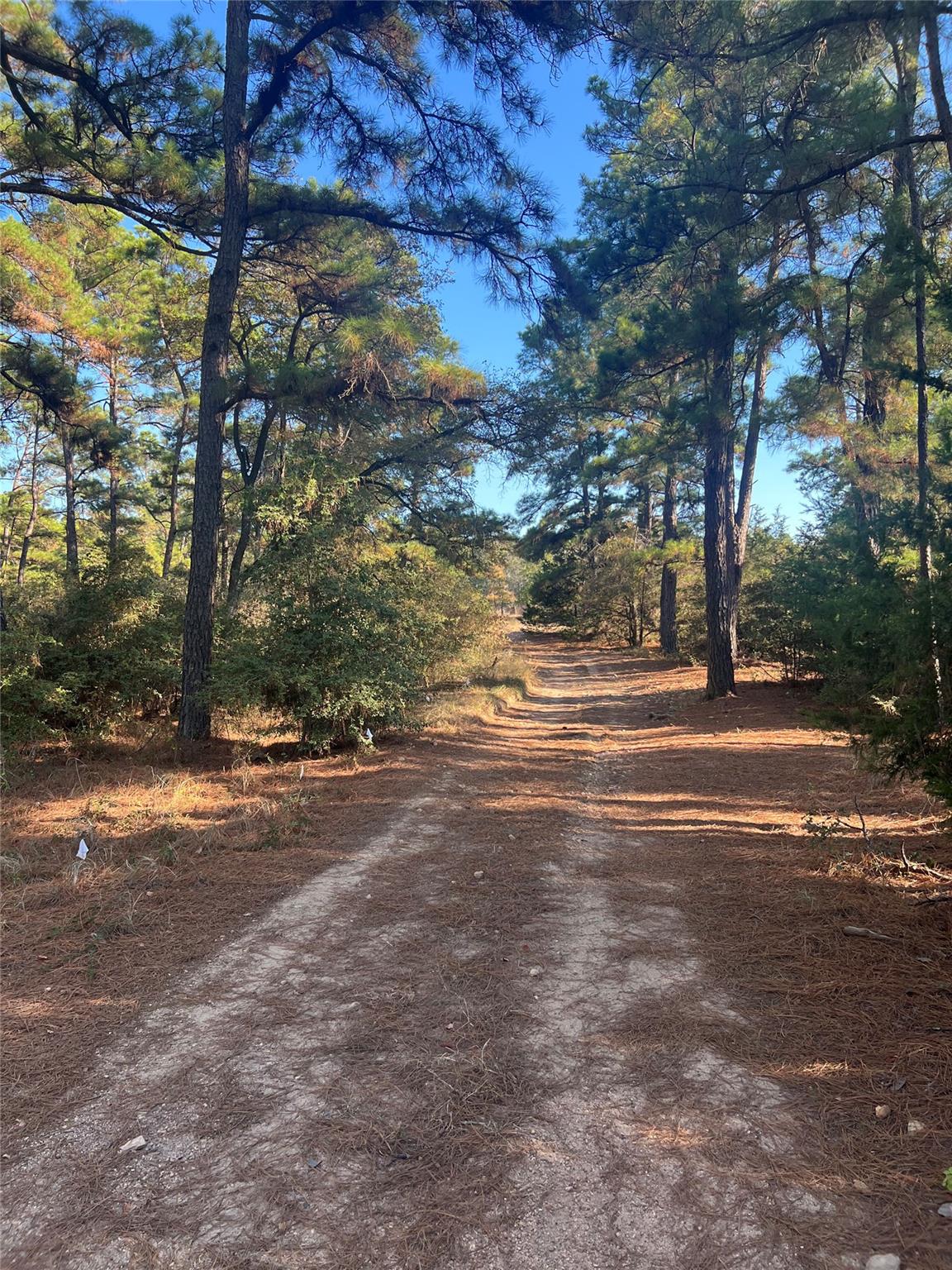 Lot 43 Pine Lodge Drive Bastrop TX 78602