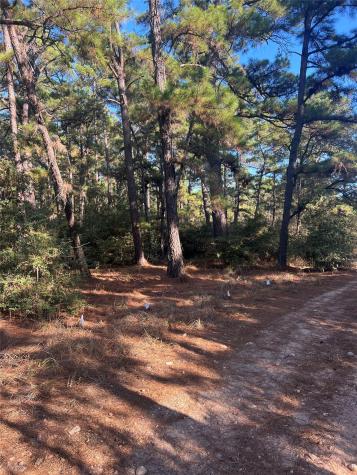 Lot 43 Pine Lodge Drive Bastrop TX 78602