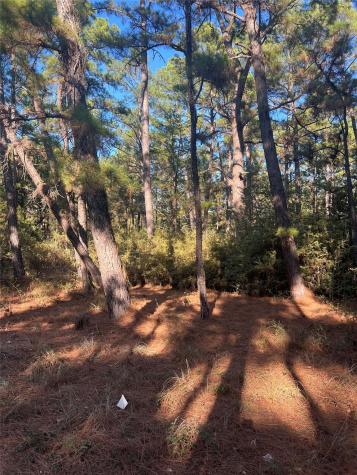Lot 43 Pine Lodge Drive Bastrop TX 78602