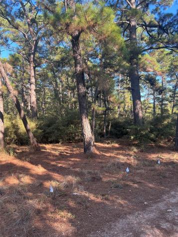 Lot 43 Pine Lodge Drive Bastrop TX 78602