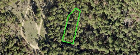 Lot 43 Pine Lodge Drive Bastrop TX 78602