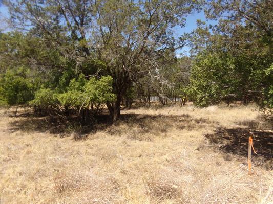 Lot 141 Pine Lane Cottonwood Shores TX 78657