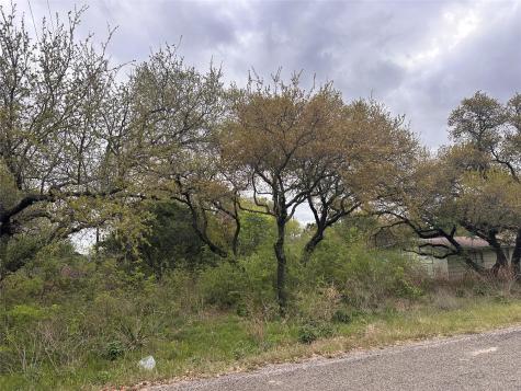 10509 W Lakeview Drive Jonestown TX 78645