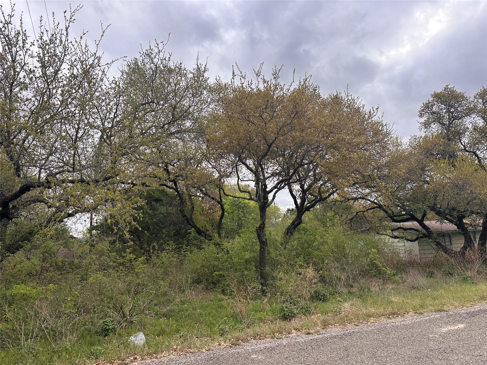 10509 W Lakeview Drive Jonestown TX 78645