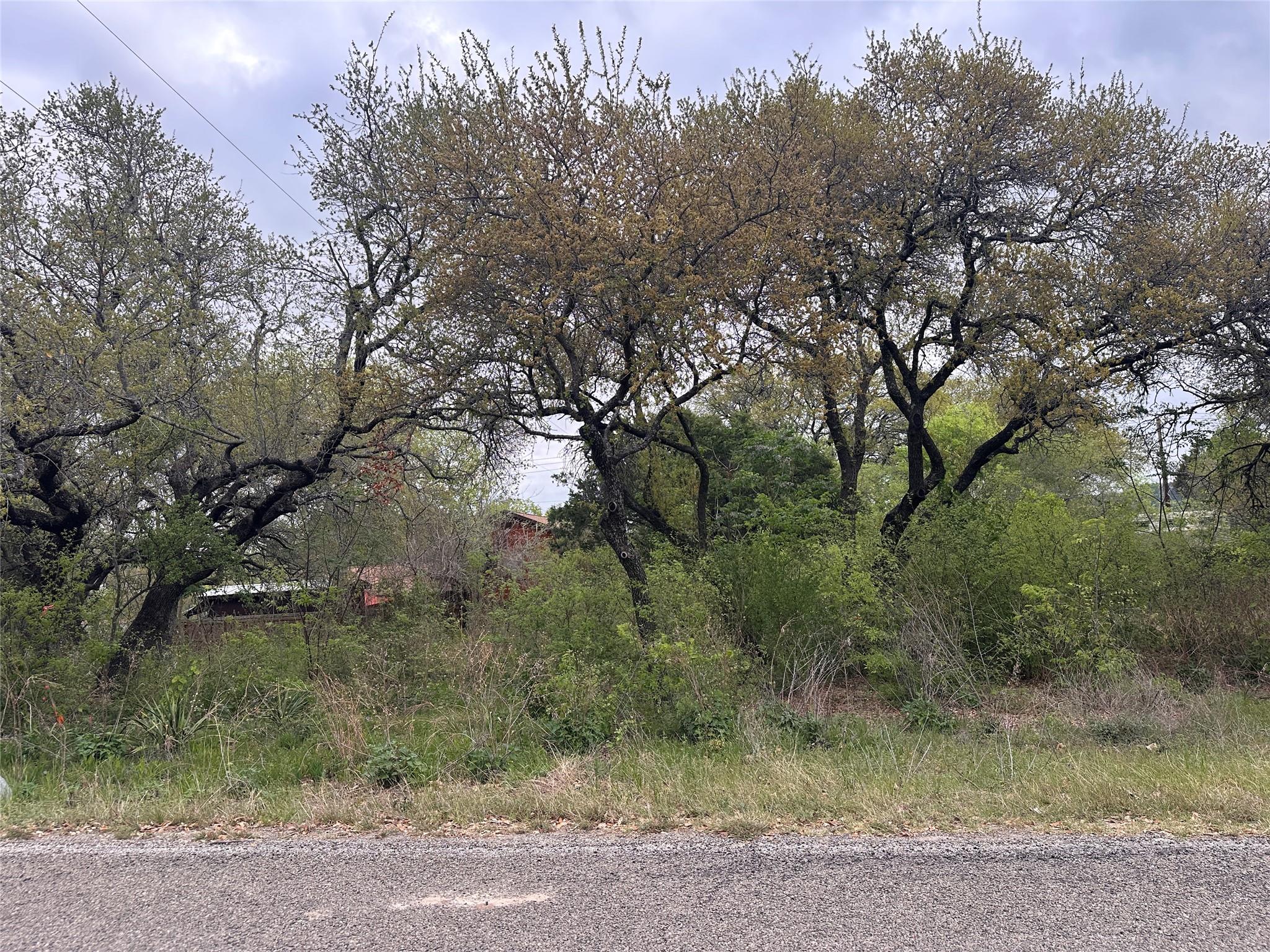 10509 W Lakeview Drive Jonestown TX 78645