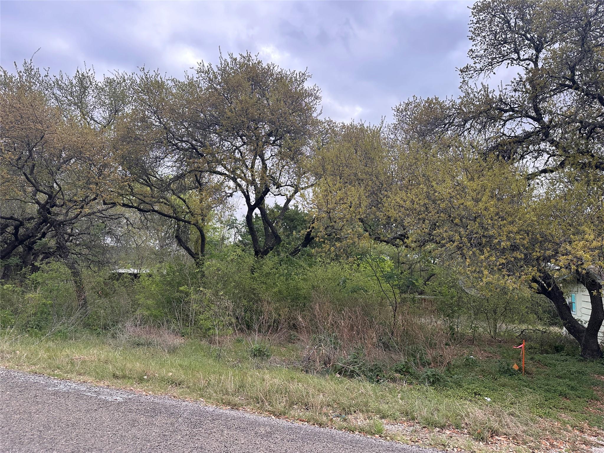 10509 W Lakeview Drive Jonestown TX 78645