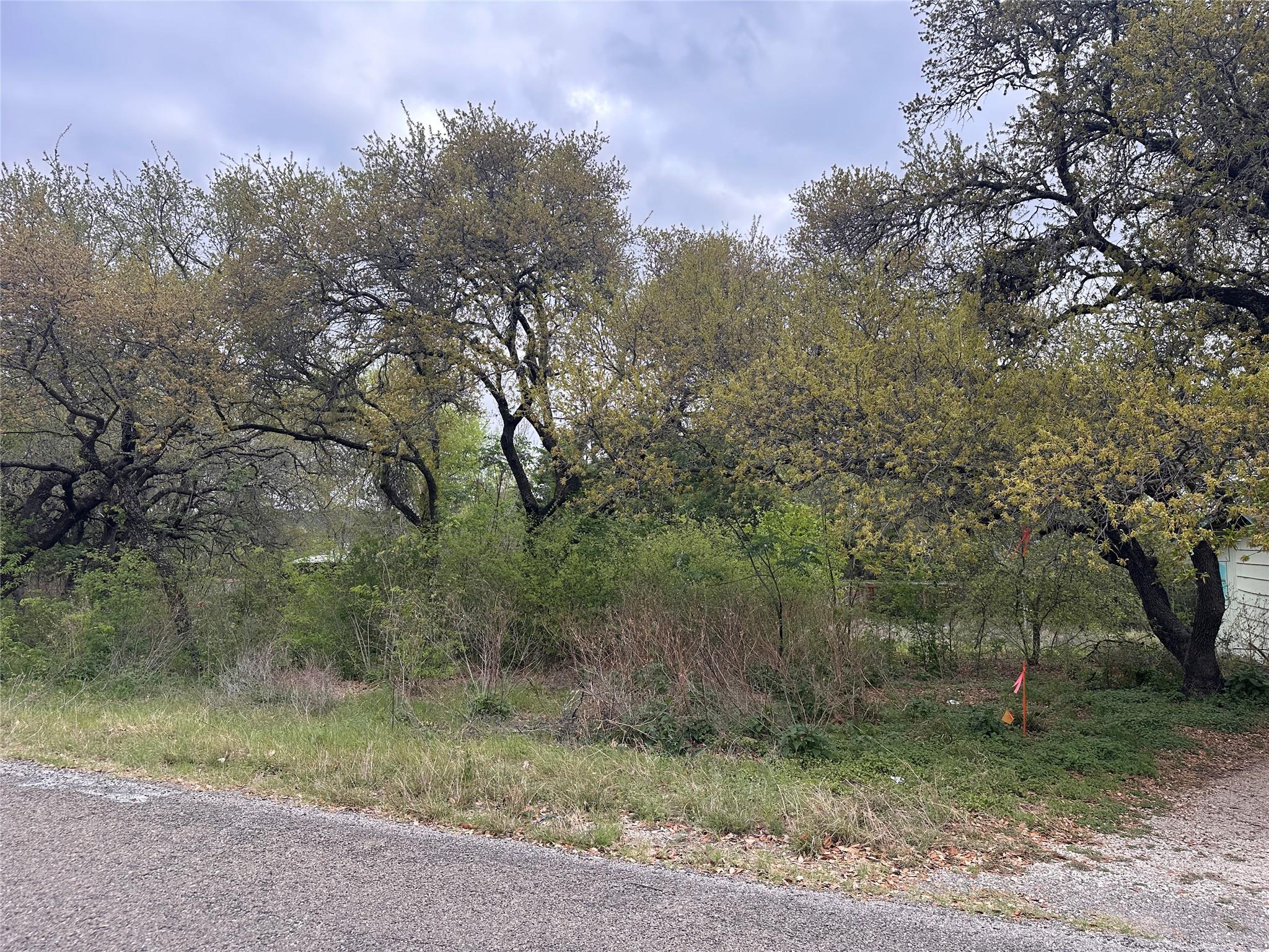 10509 W Lakeview Drive Jonestown TX 78645