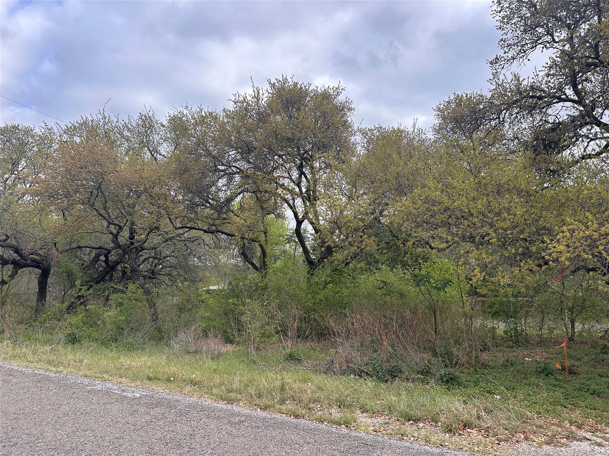 10509 W Lakeview Drive Jonestown TX 78645