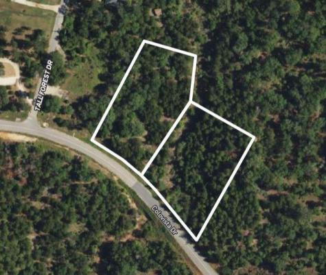 Tbd - Lots 1 & 41 Colovista Drive Bastrop TX 78602